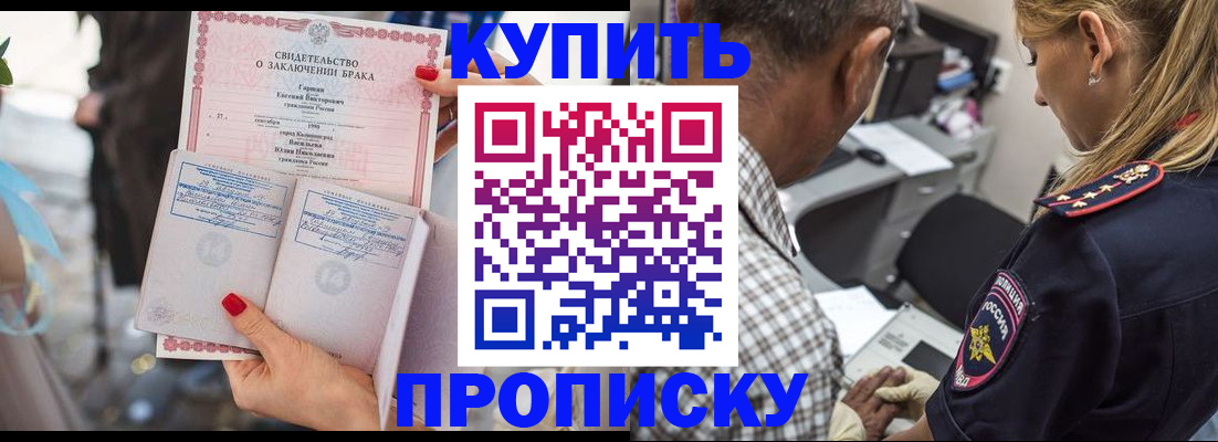 прописка законно в Котласе
